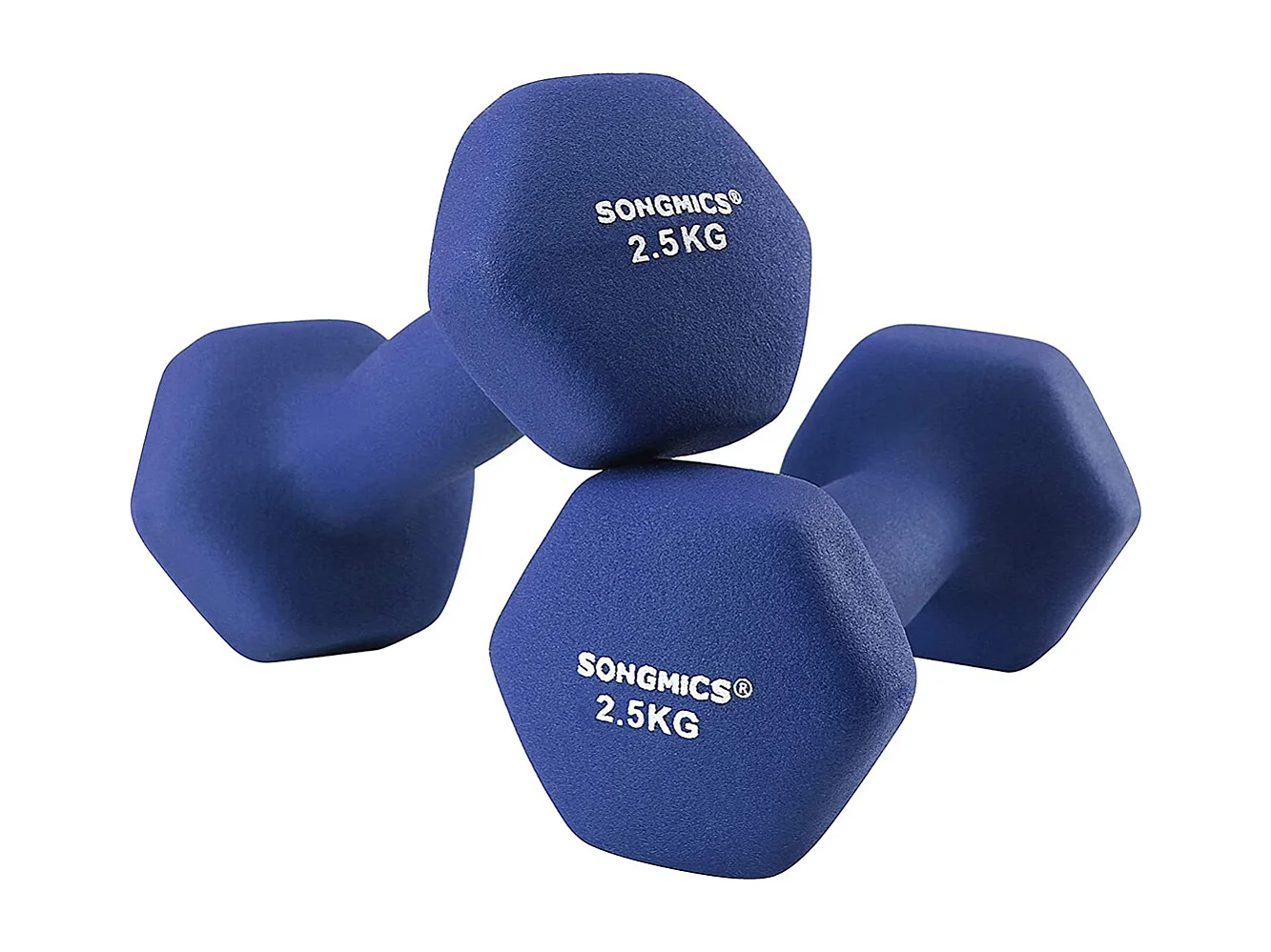 SONGMICS Hanteln 2er Set