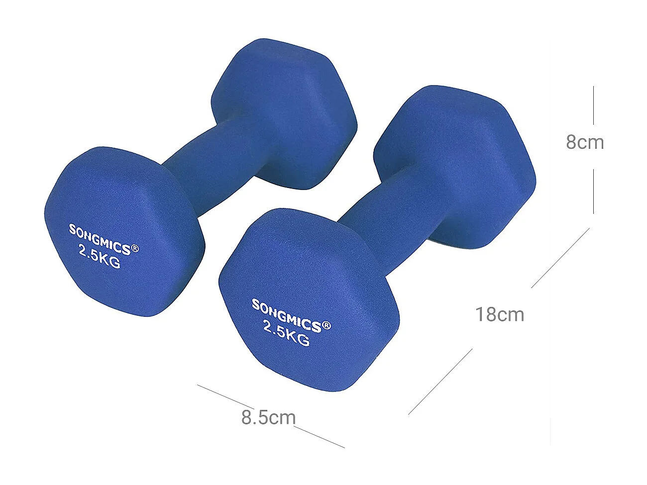SONGMICS Hanteln 2er Set