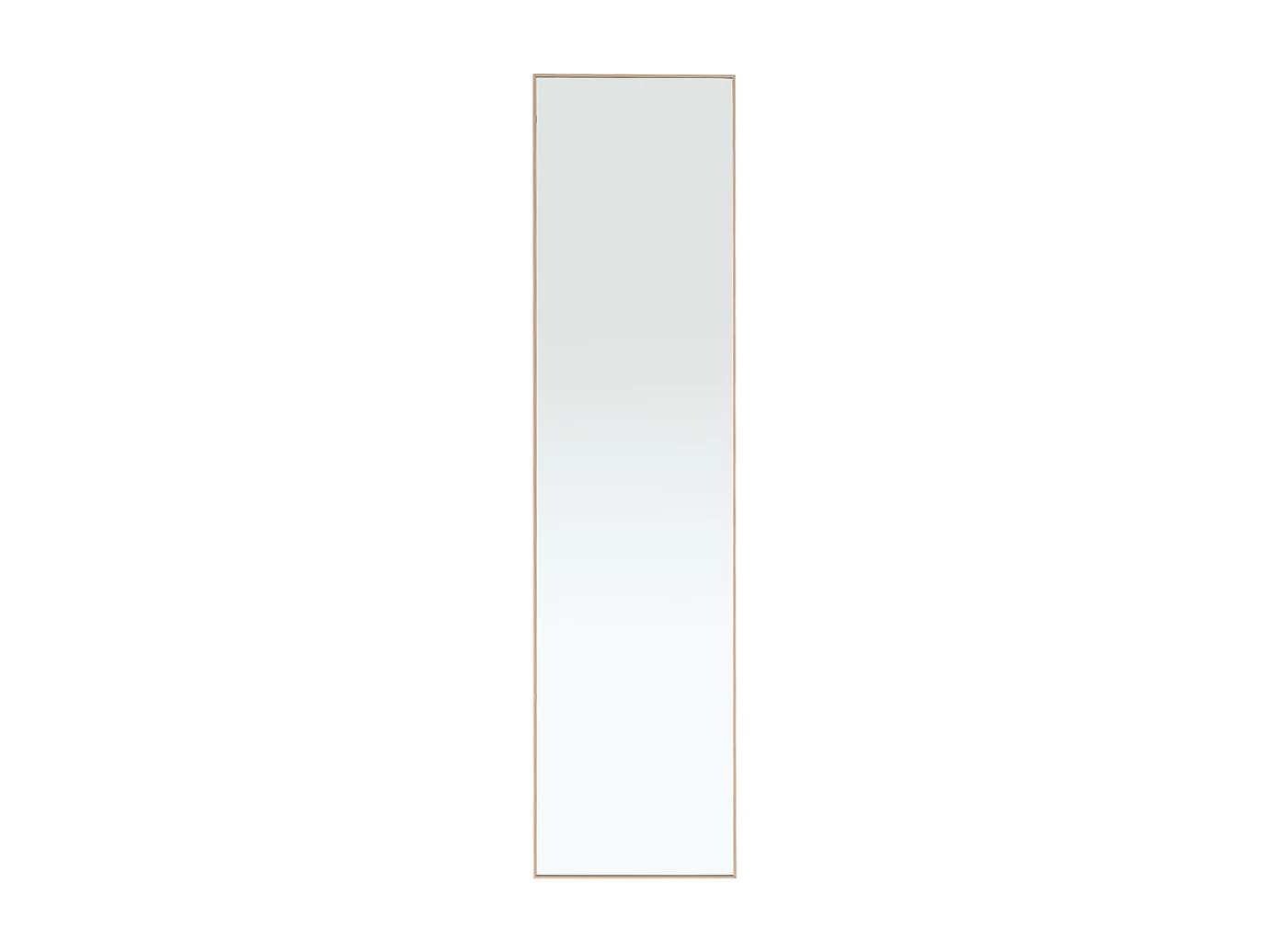 37x147cm Metal Frame Over the Door Full Length Mirror - Gold