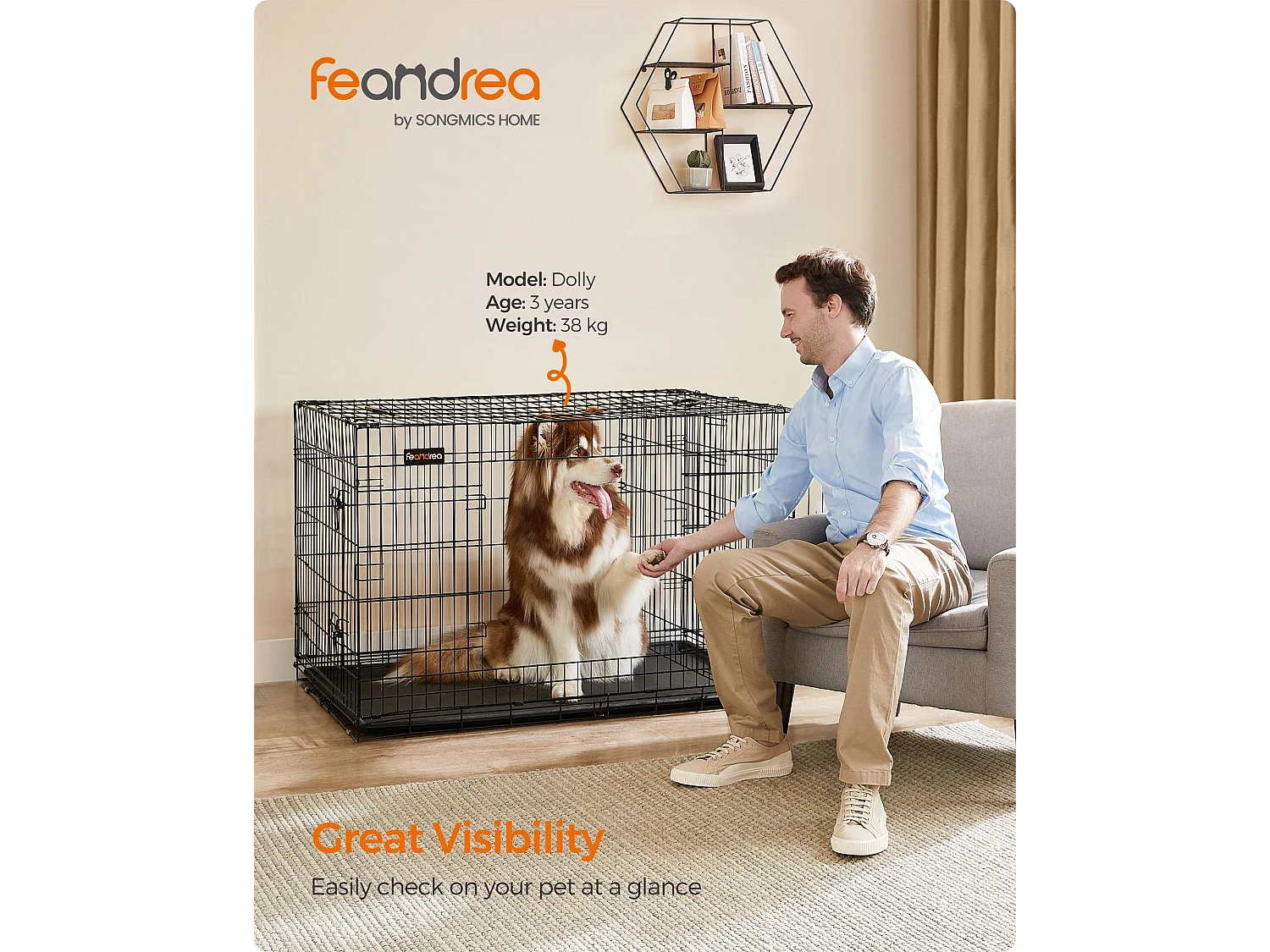 FEANDREA Hundebur, Hundekasse med 2 døre, 122 x 74,5 x 80,5 cm, Sort PPD48BK