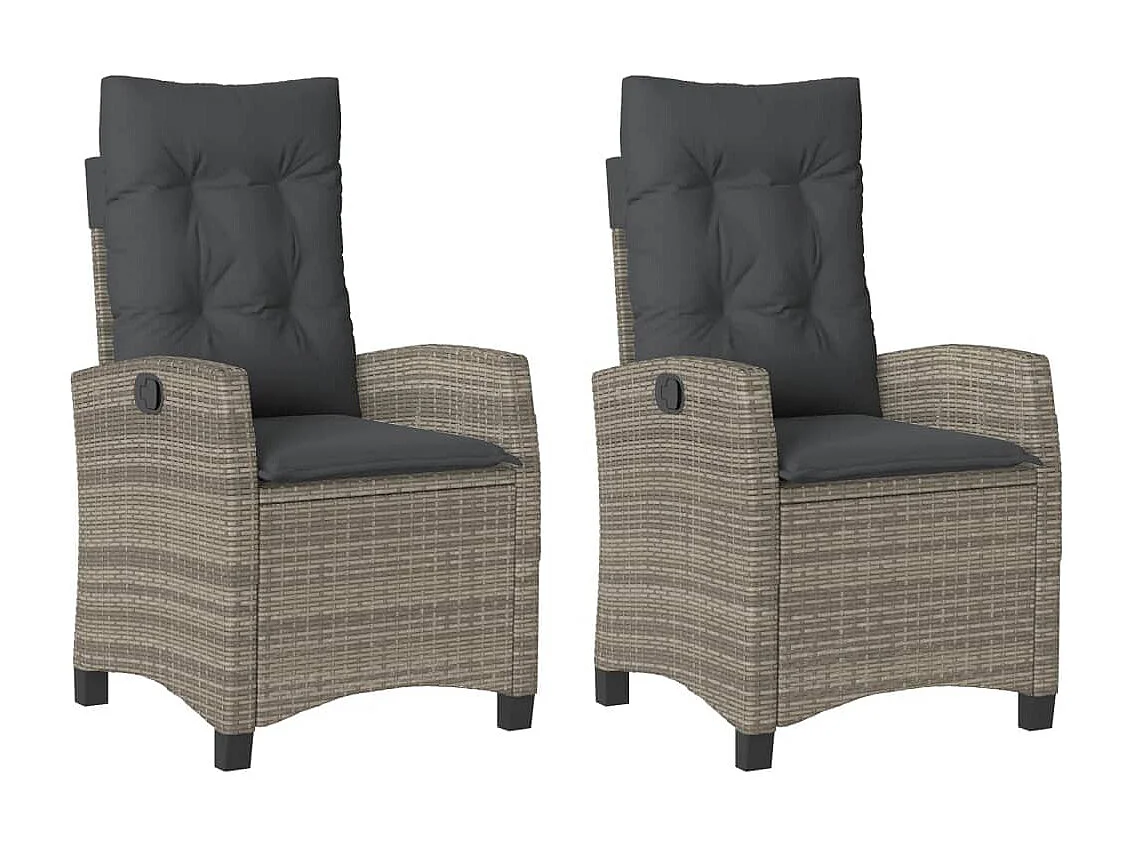 Chaise inclinable de jardin lot de 2 et coussin gris rotin