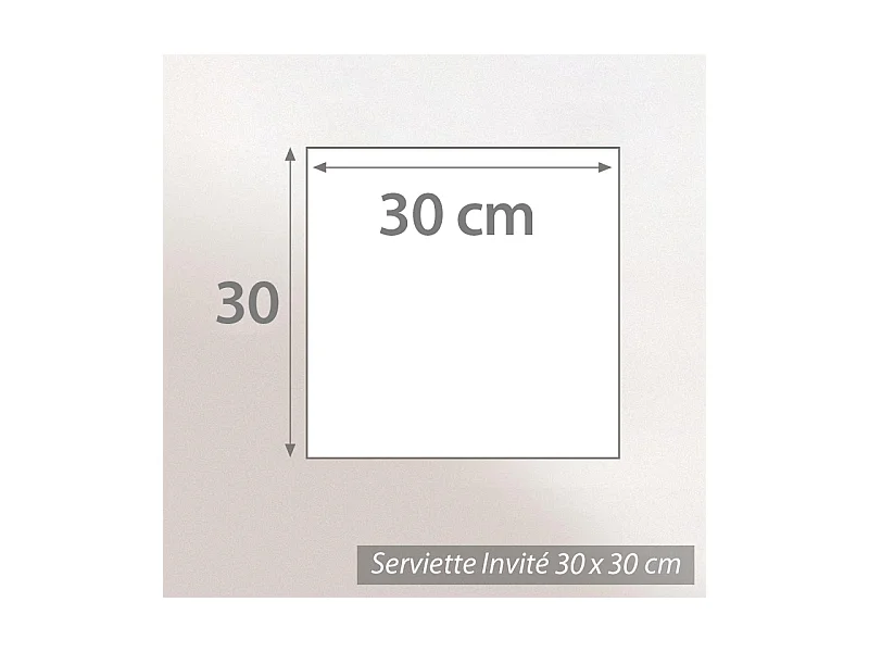 Lot de 12 serviettes invité 30x30 cm ALPHA gris Argent
