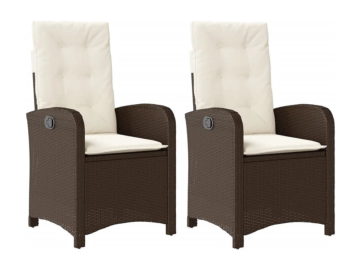 Chaise inclinable de jardin lot de 2 et coussin marron rotin