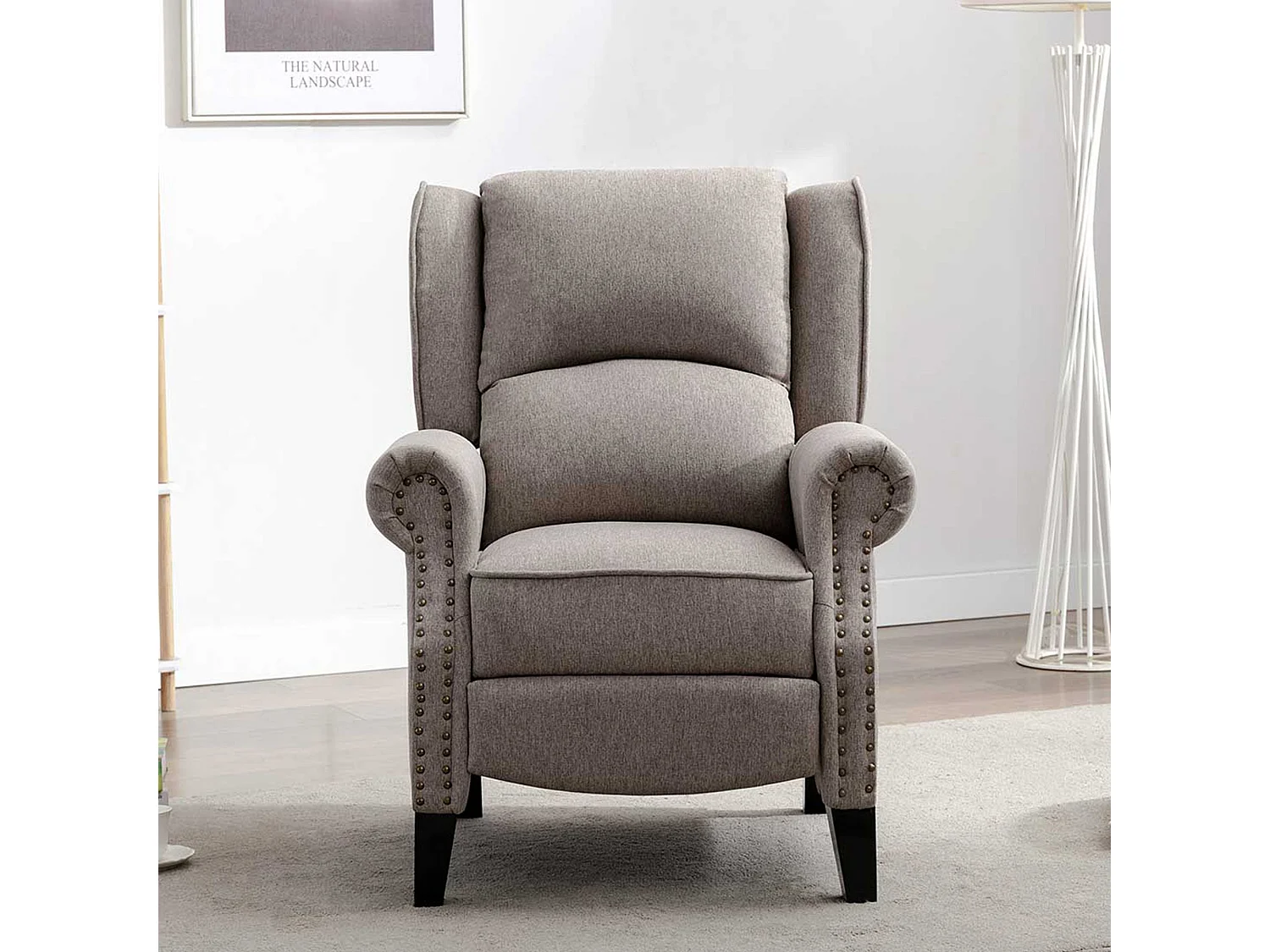 Charlotte Modern Fabric Pushback Recliner Sofa Accent Chair