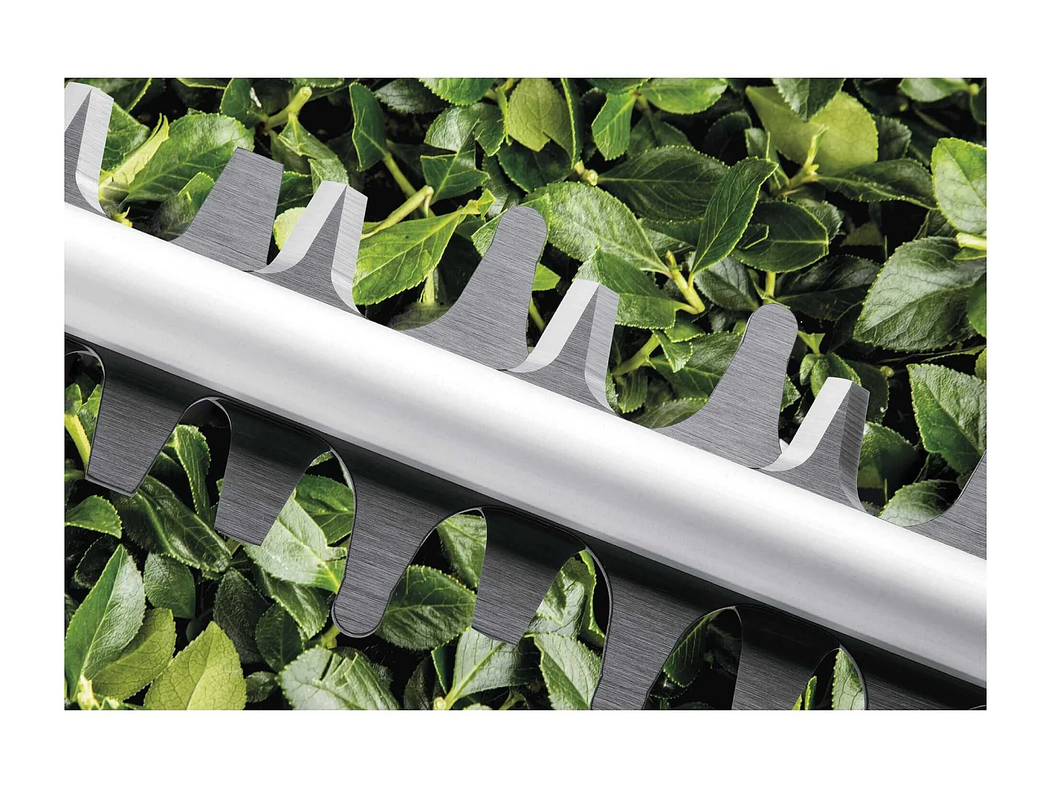 Taille haies Universal Hedge Cut 50 Bosch