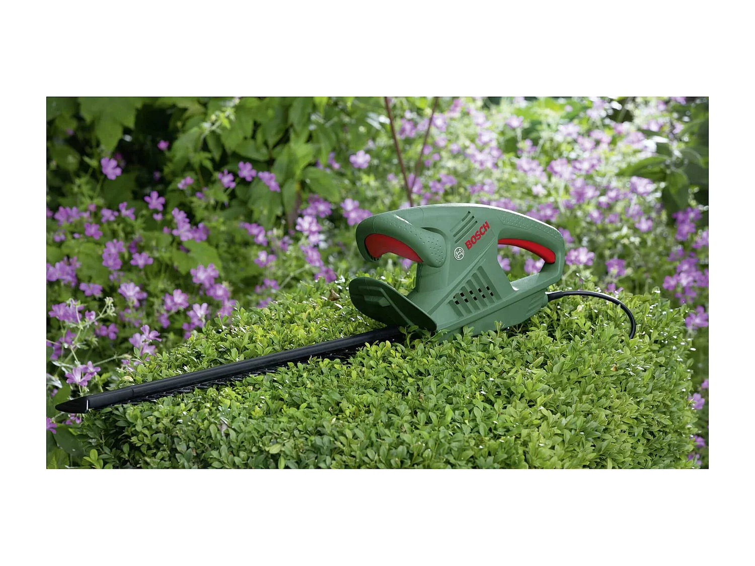 Taille-haies BOSCH - EasyHedgeCut 55-16