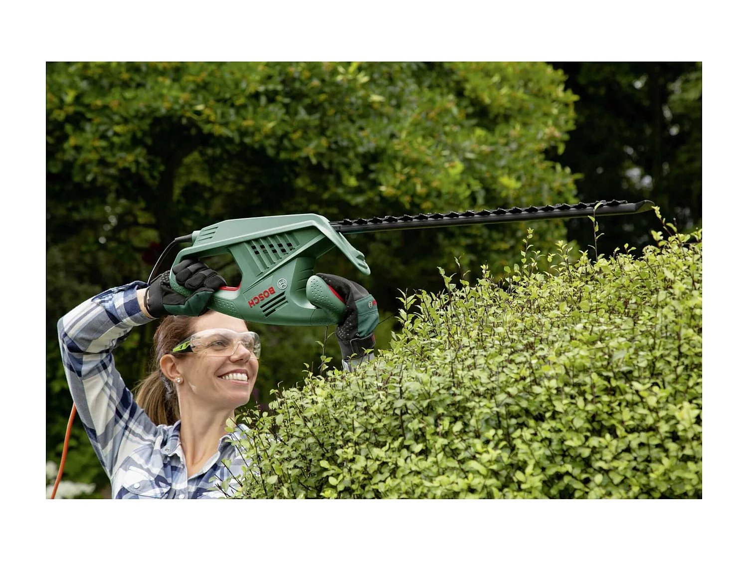 Taille-haies BOSCH - EasyHedgeCut 55-16