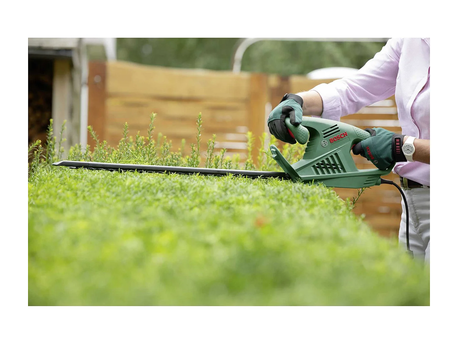 Taille-haies BOSCH - EasyHedgeCut 55-16