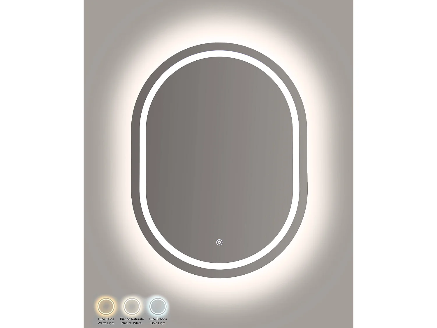 Wandspiegel met LED-verlichting 60x3,5x80 cm