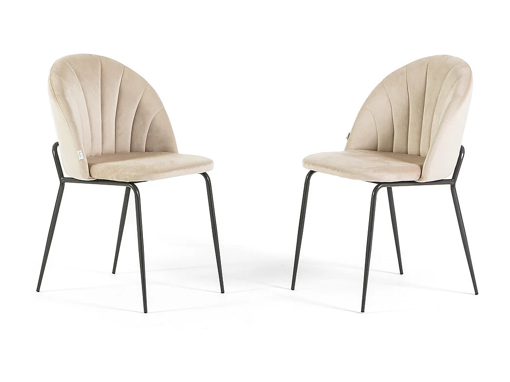 Lot de 2 chaises en velours d’intérieur, rembourrées, pieds en métal, design élégant pour cuisine, salle à manger, restaurant – Crème/Gris foncé–Sonia