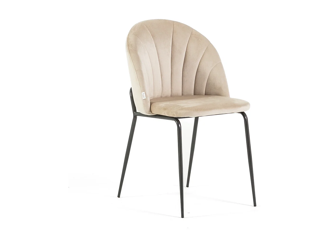 Lot de 2 chaises en velours d’intérieur, rembourrées, pieds en métal, design élégant pour cuisine, salle à manger, restaurant – Crème/Gris foncé–Sonia