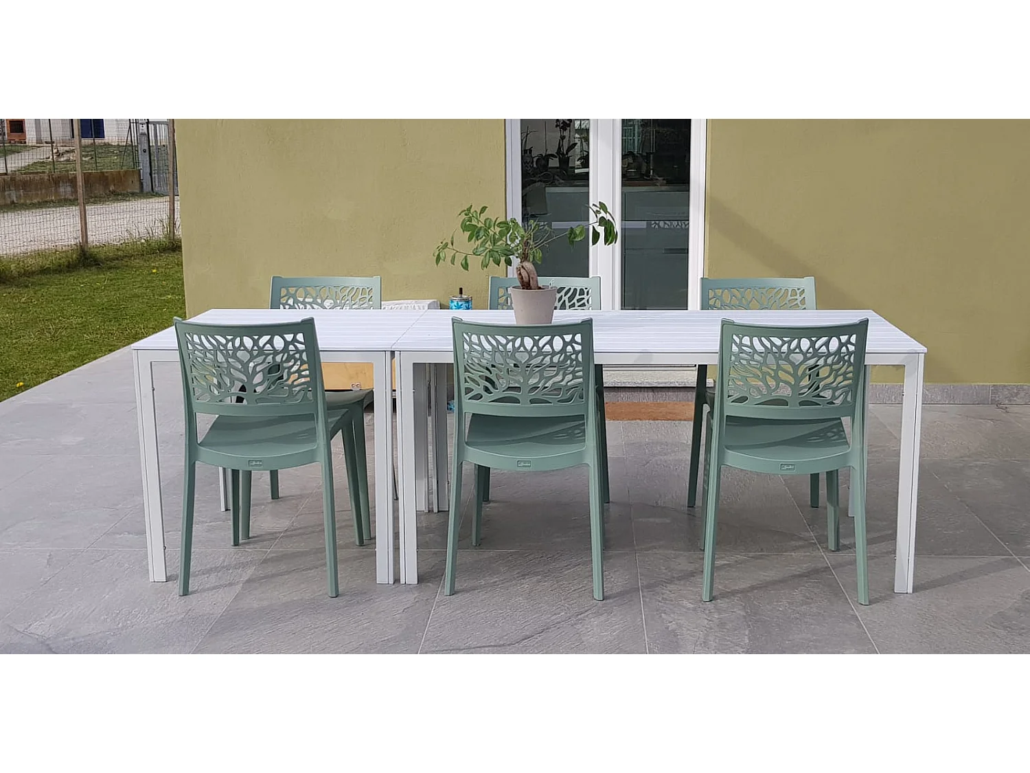 Lot de 4 chaises en polypropylène renforcé de fibre de verre empilables pour extérieur et jardin, bar, restaurant, cuisine design moderne - Flora - Vert sauge