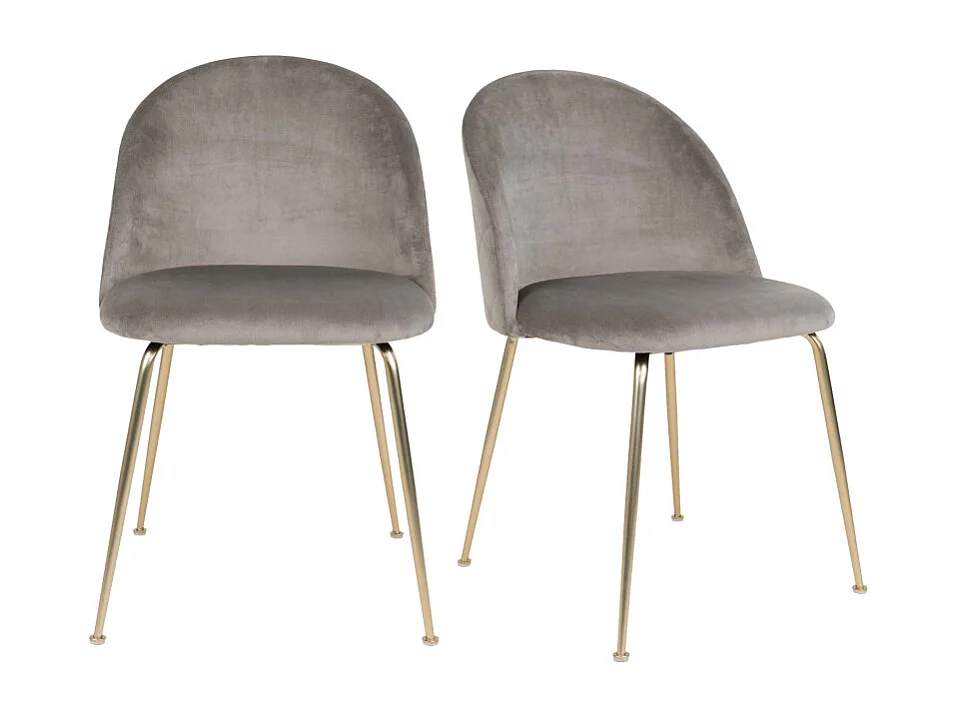 LOLY-Set di 2 sedie in velluto grigio con finitura ottone