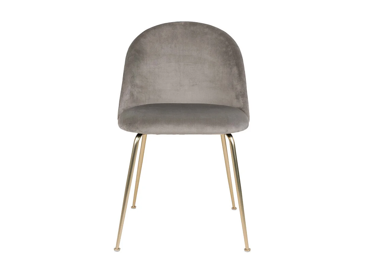 LOLY-Set di 2 sedie in velluto grigio con finitura ottone
