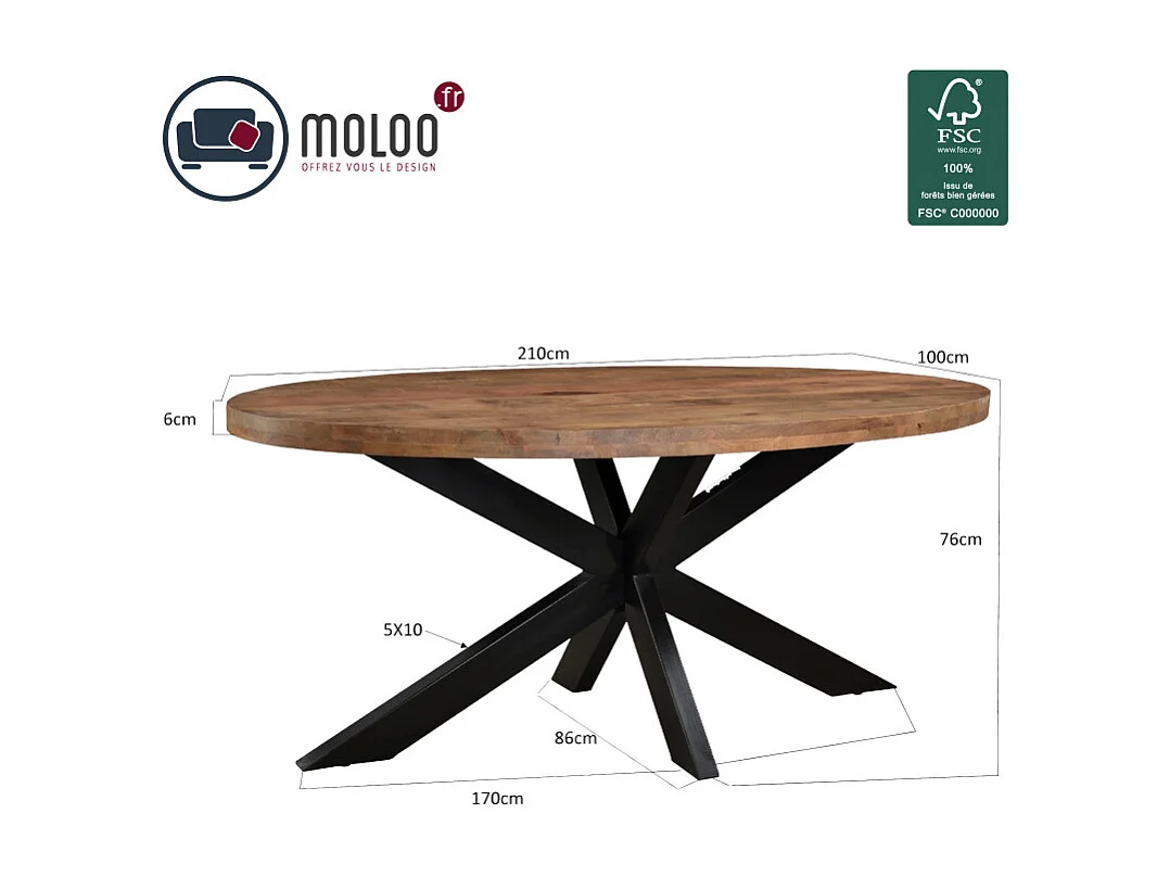 MANAUS-Table à manger ovale 10 personnes 240 cm en bois massif