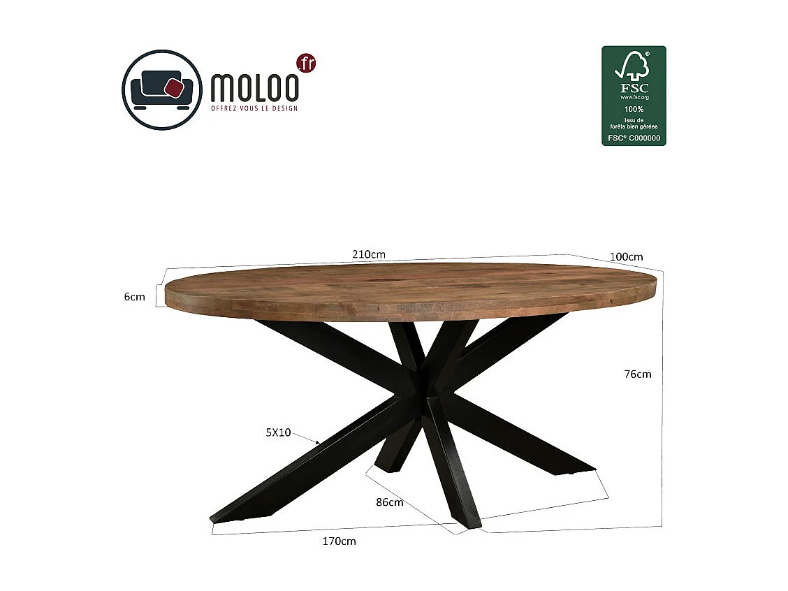 MANAUS-Table à manger ovale 8/10 personnes 210 cm en bois massif