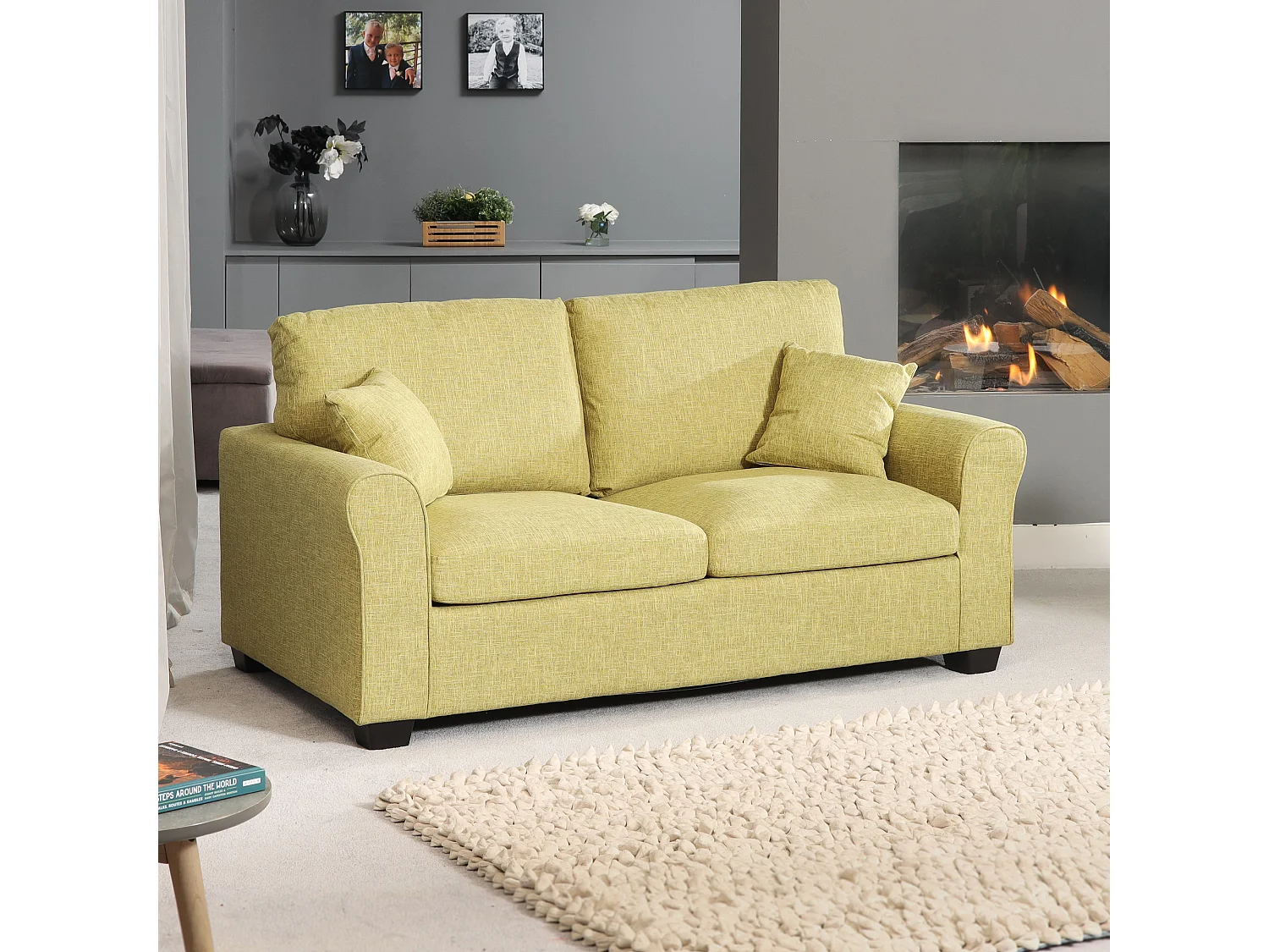 Dawson 2.5 Seat Fabric Sofa Bed