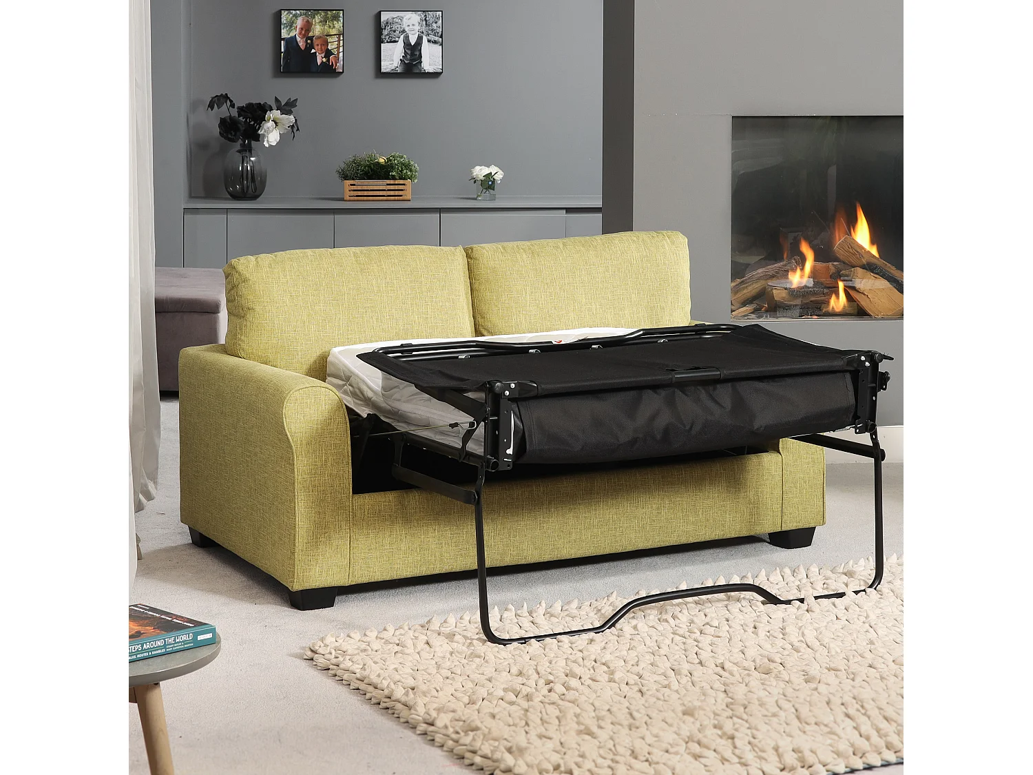Dawson 2.5 Seat Fabric Sofa Bed