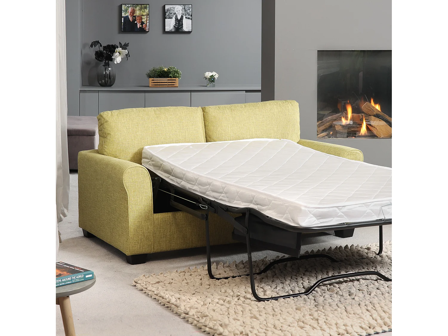 Dawson 2.5 Seat Fabric Sofa Bed