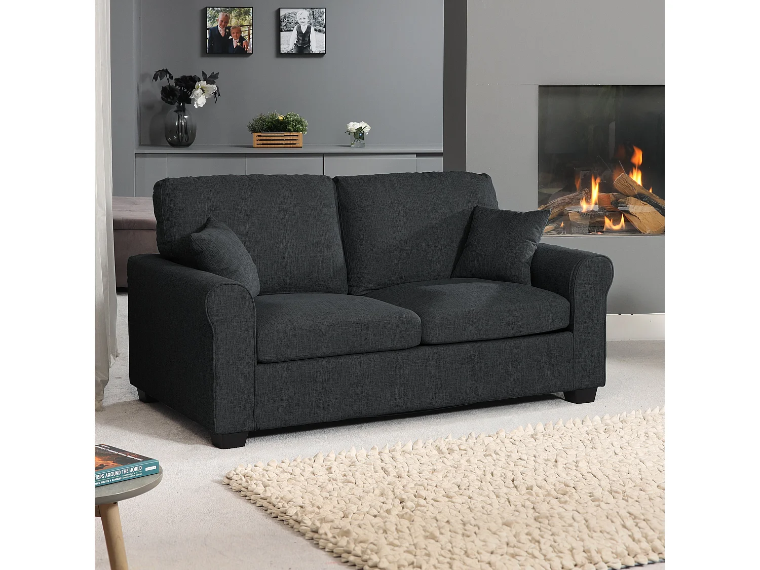 Dawson 2.5 Seat Fabric Sofa Bed