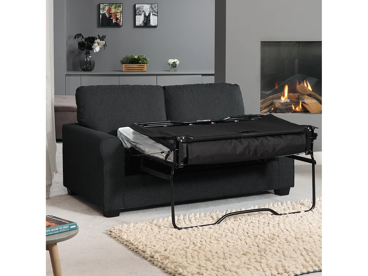 Dawson 2.5 Seat Fabric Sofa Bed
