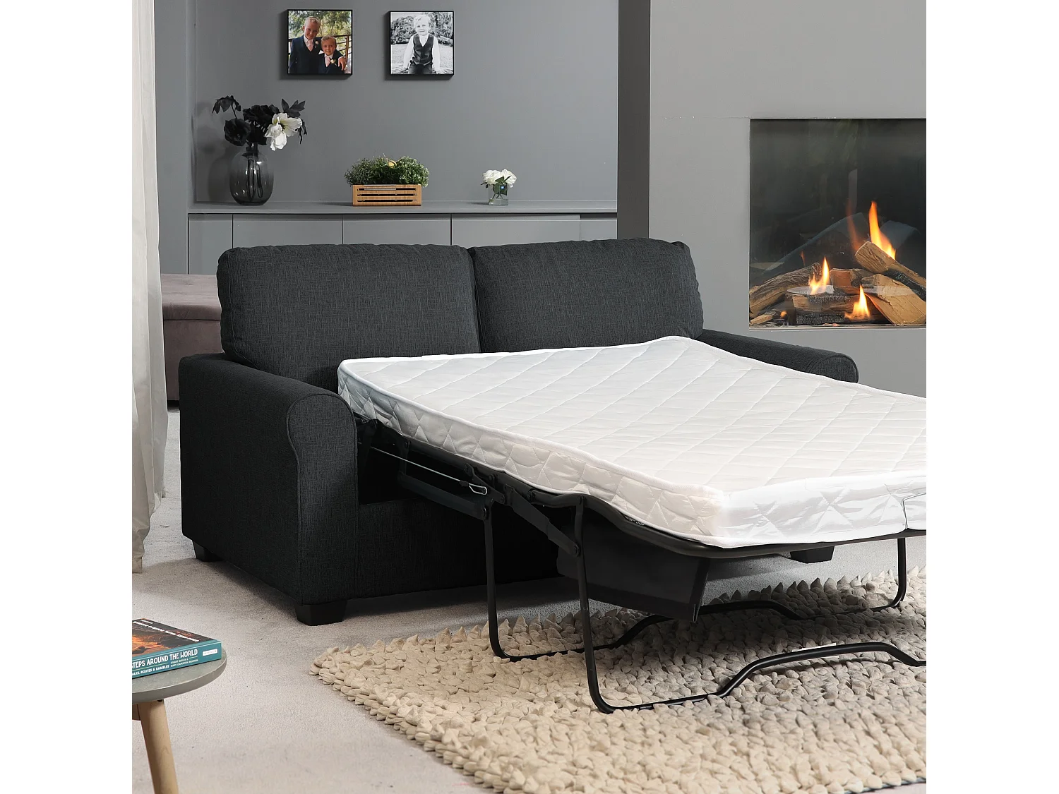 Dawson 2.5 Seat Fabric Sofa Bed