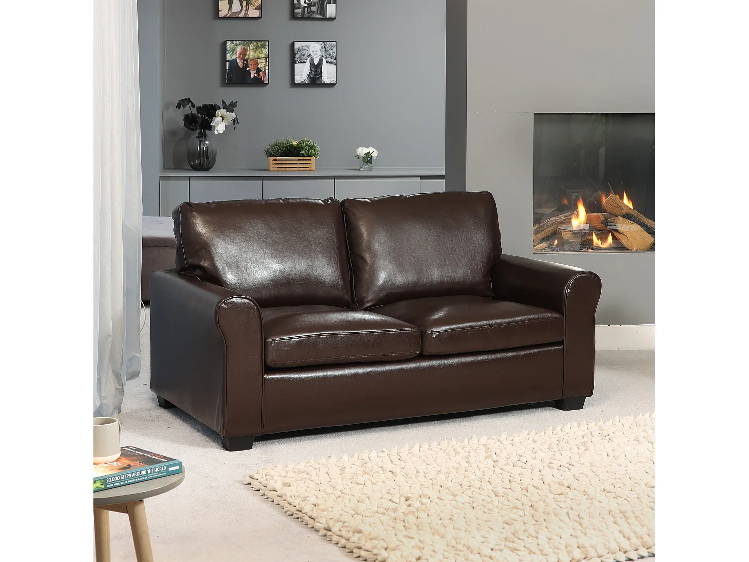 Lauderdale 2.5 Seat Leather Sofa Bed