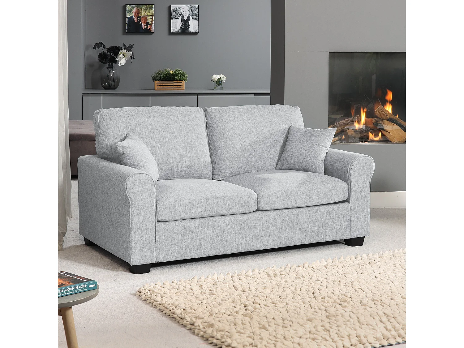 Dawson 2.5 Seat Fabric Sofa Bed