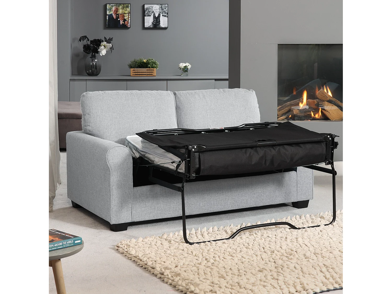 Dawson 2.5 Seat Fabric Sofa Bed