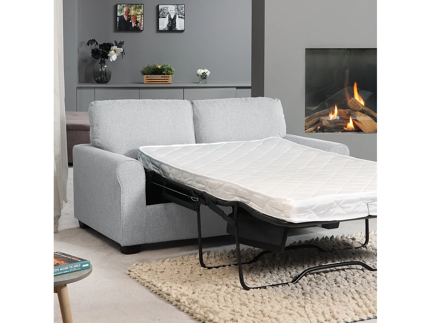 Dawson 2.5 Seat Fabric Sofa Bed