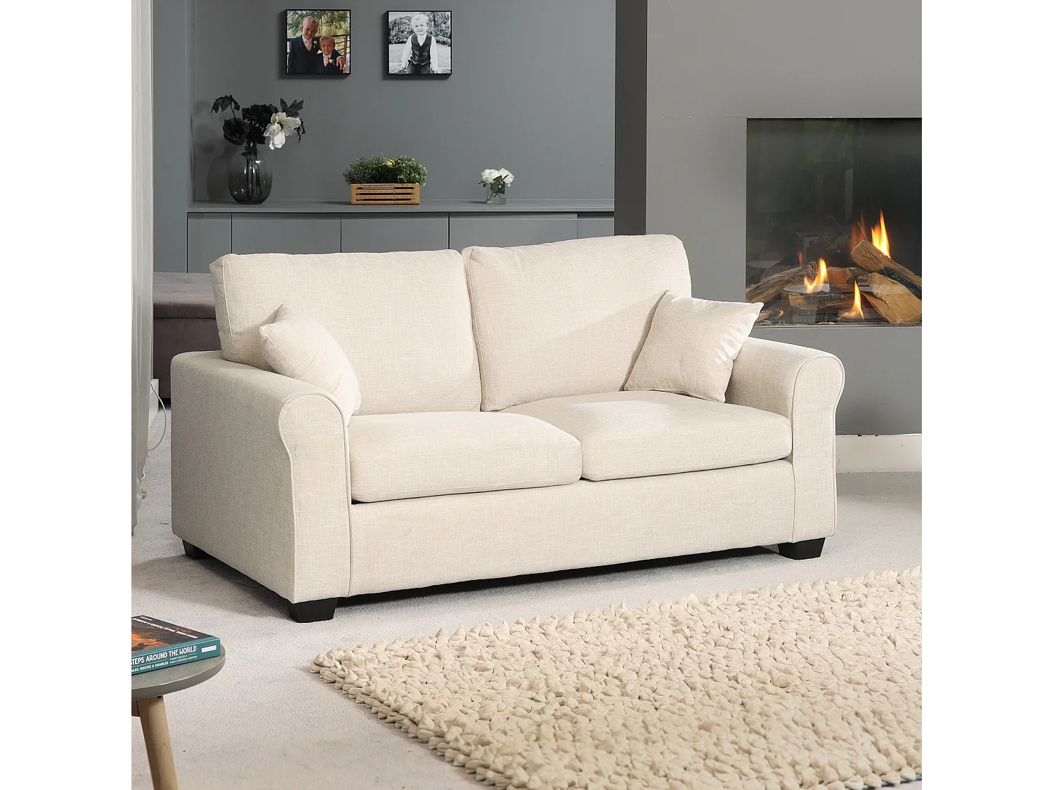 Dawson 2.5 Seat Fabric Sofa Bed