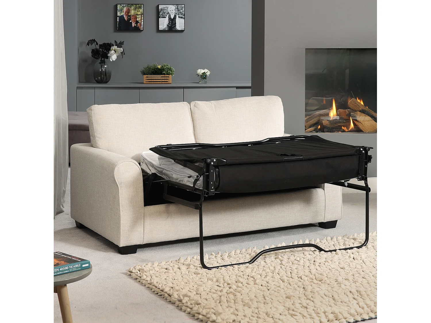Dawson 2.5 Seat Fabric Sofa Bed