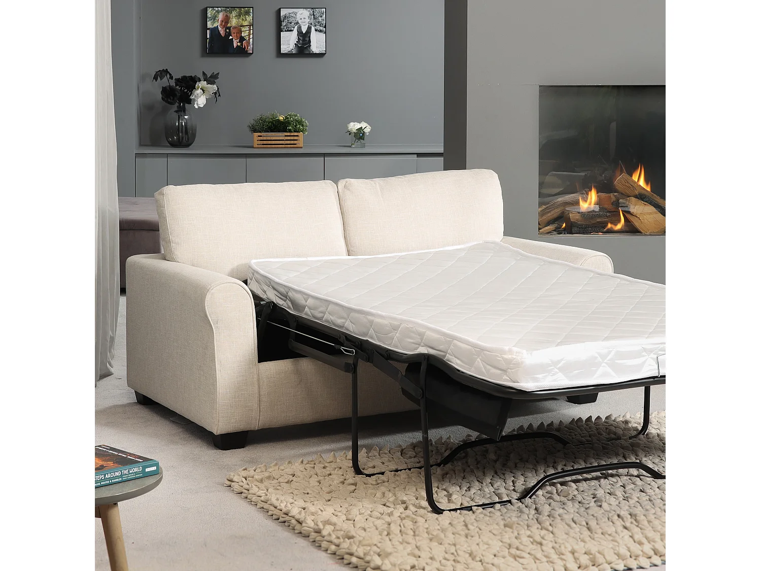Dawson 2.5 Seat Fabric Sofa Bed