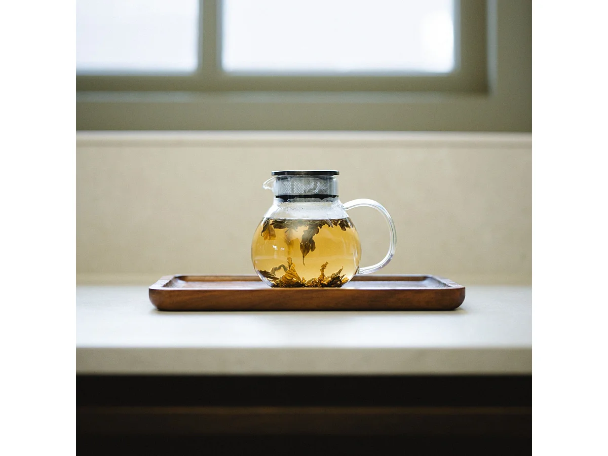 Teamaster - Théière 500 ml simple paroi