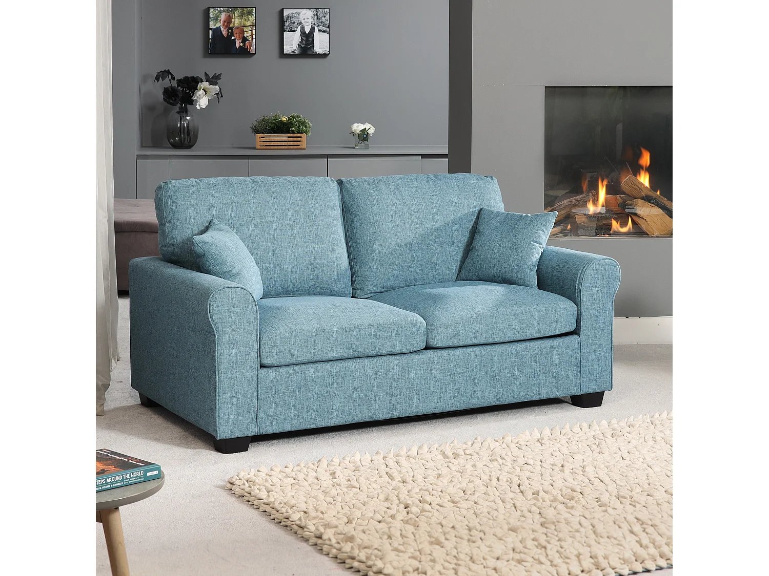 Dawson 2.5 Seat Fabric Sofa Bed
