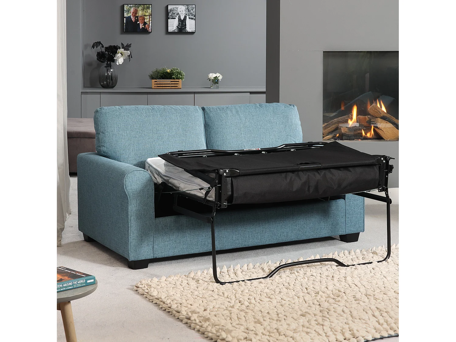 Dawson 2.5 Seat Fabric Sofa Bed
