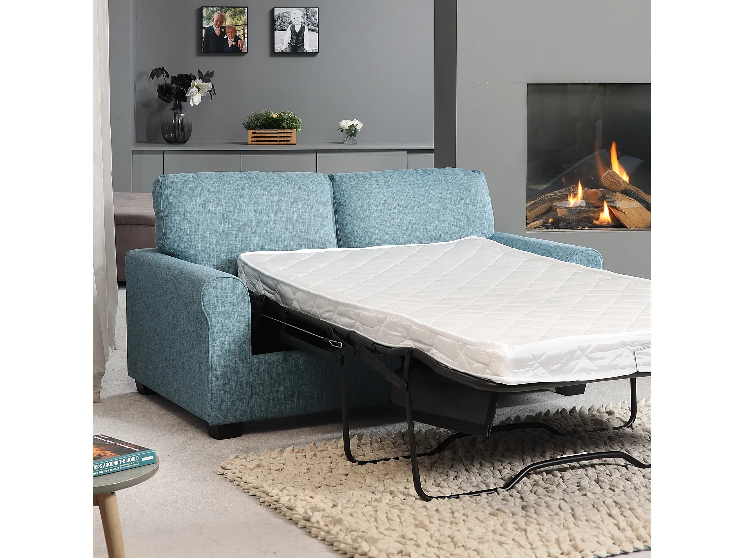 Dawson 2.5 Seat Fabric Sofa Bed
