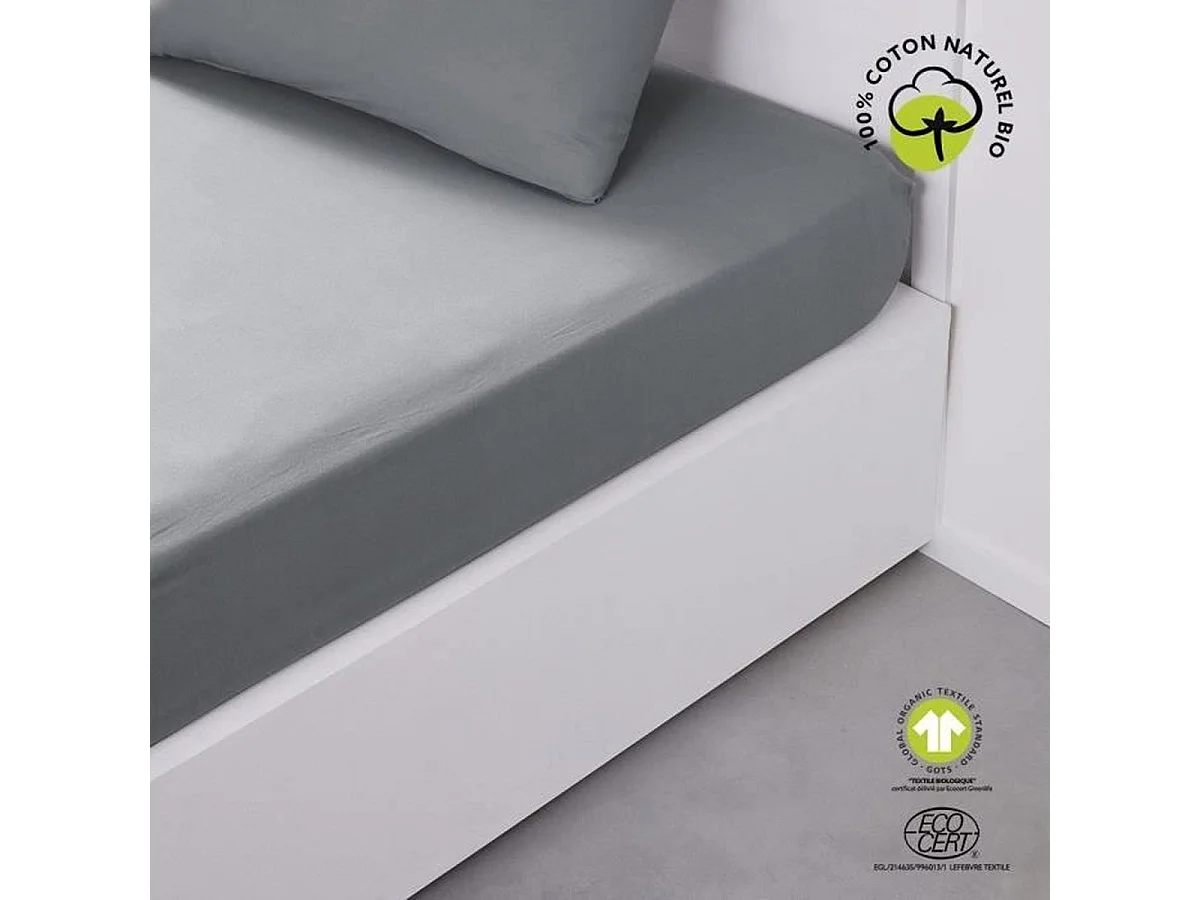 TODAY Drap housse 160 x 200 cm bonnet 30 cm en coton bio - Acier