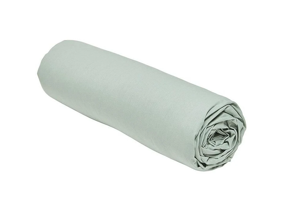 TODAY Drap housse 160 x 200 cm bonnet 30 cm - 100% Coton Bio - Celadon