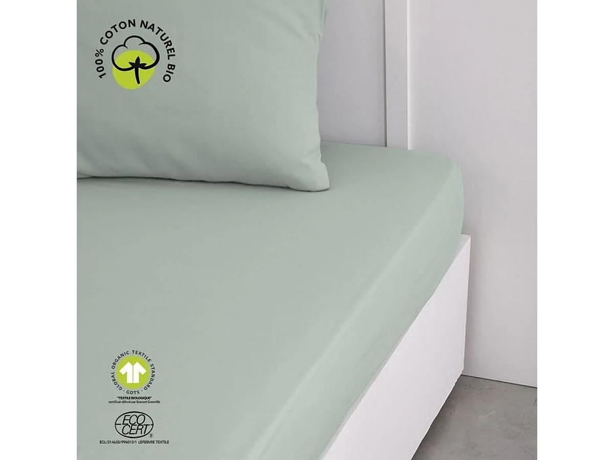 TODAY Drap housse 160 x 200 cm bonnet 30 cm - 100% Coton Bio - Celadon