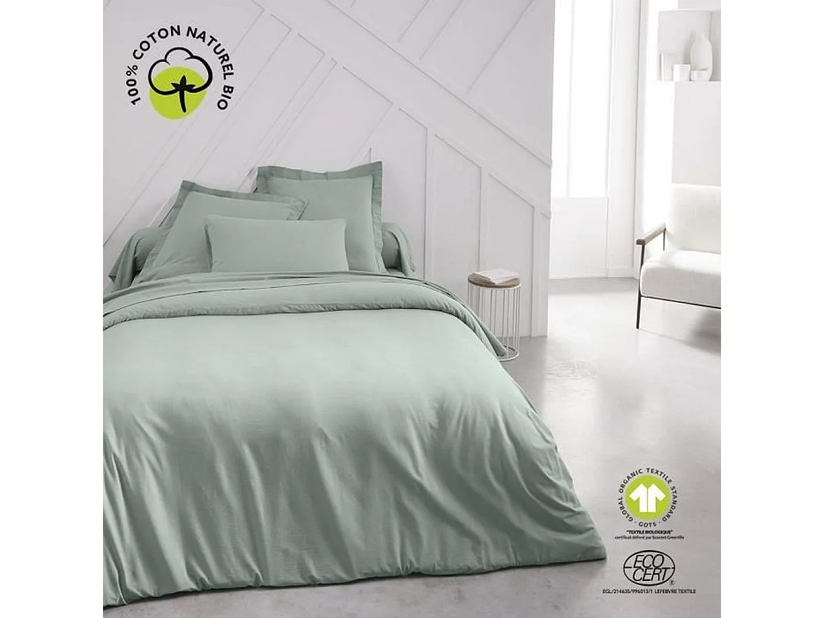 TODAY Drap housse 160 x 200 cm bonnet 30 cm - 100% Coton Bio - Celadon