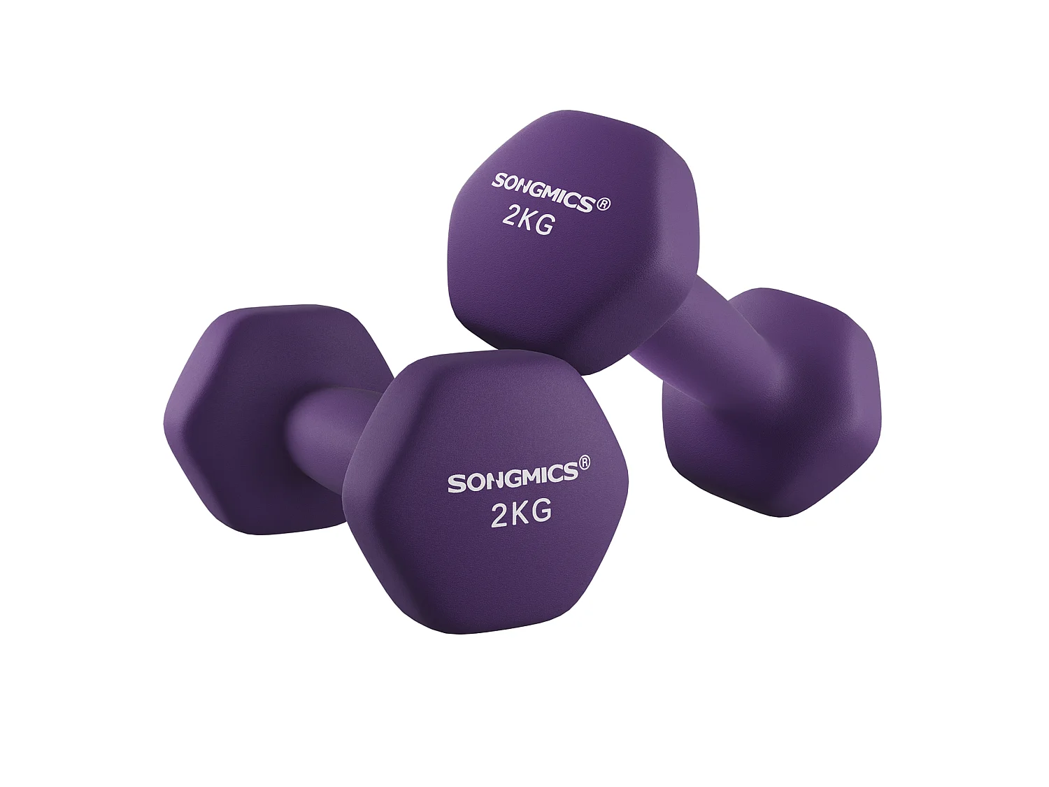 Haltères 16x8x7,5 cm violet