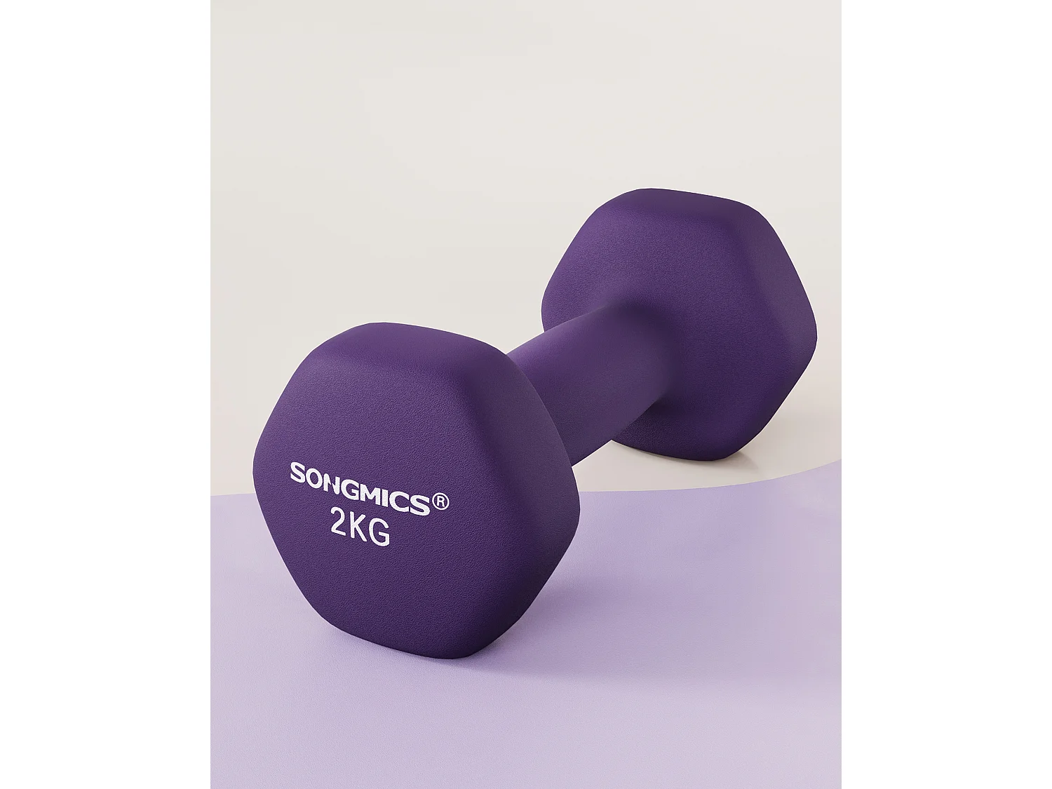 Haltères 16x8x7,5 cm violet