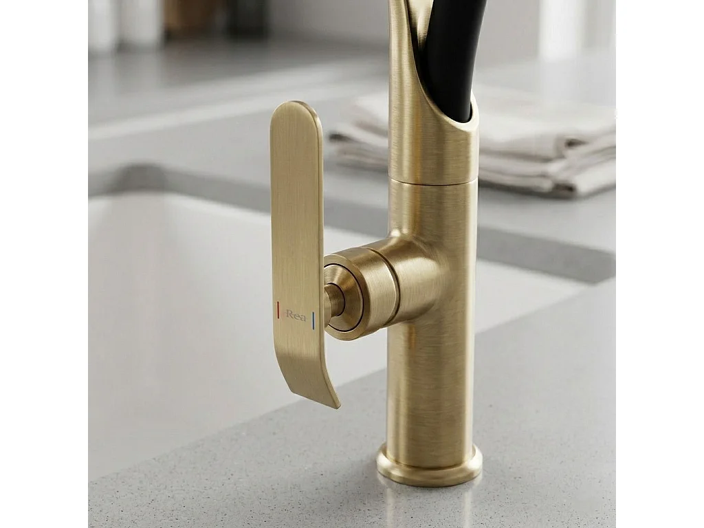 Robinet De Cuisine Rea Castor Black