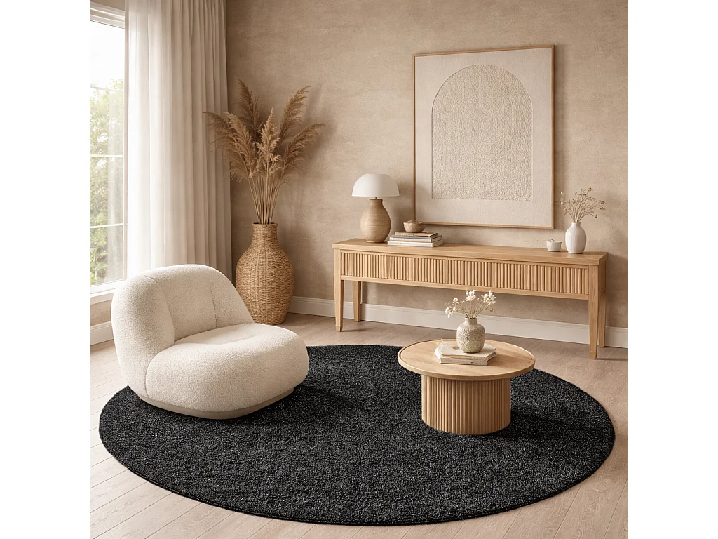 Tapis Grande salon moderne moelleux élégant, Anthracite, 160 cm Rond