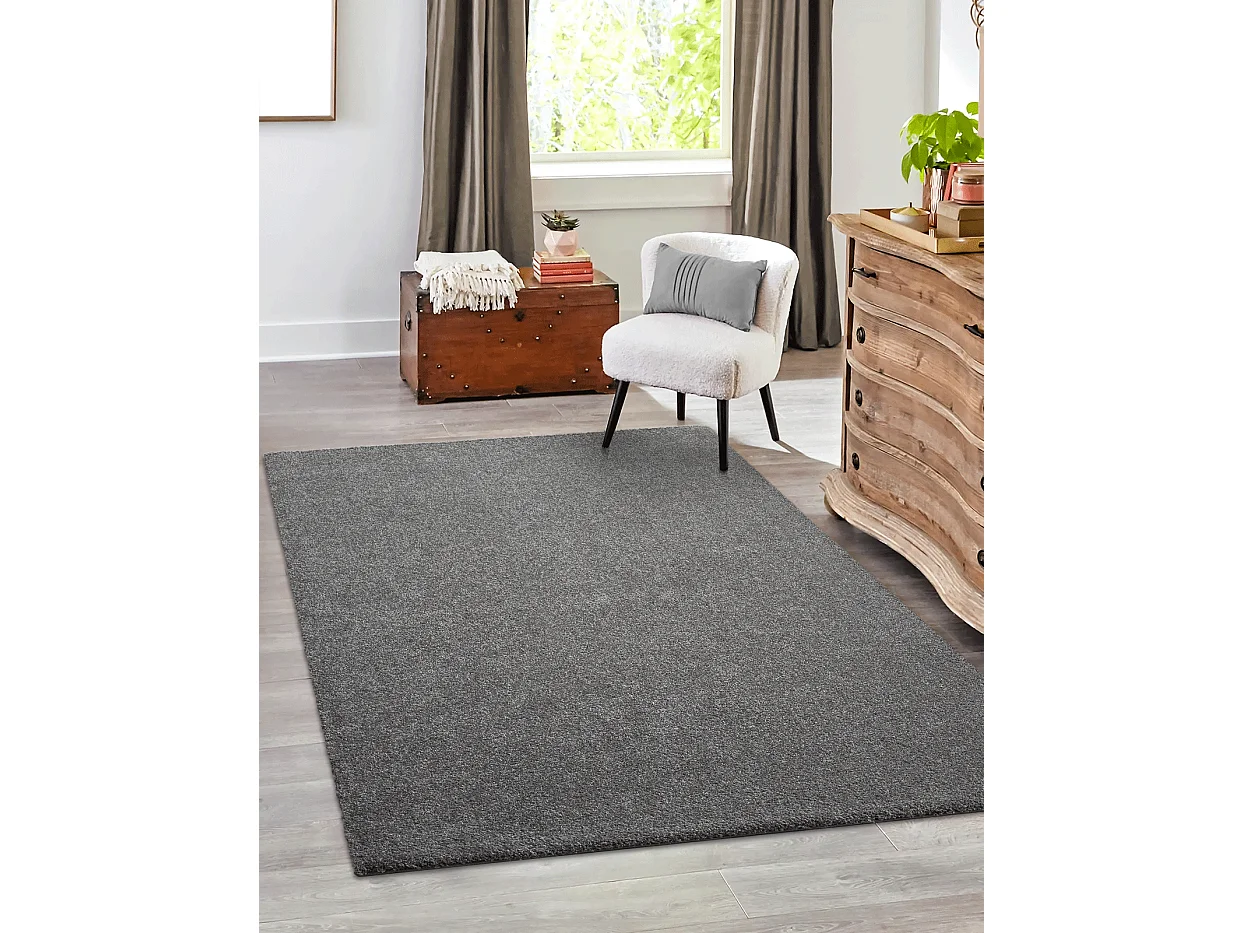 Tapis Grande salon moderne moelleux élégant, Gris, 200 x 290 cm