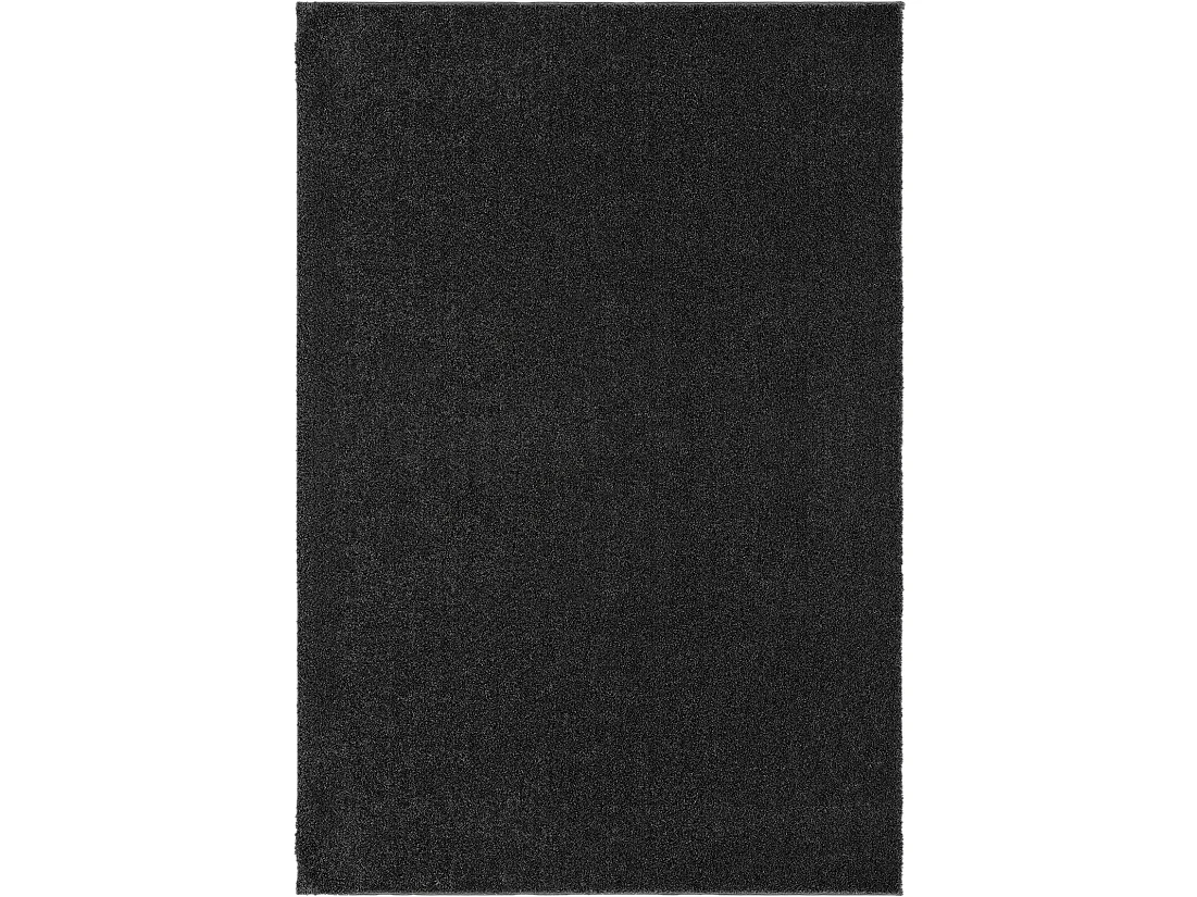 Tapis Grande salon moderne moelleux élégant, Anthracite, 80 x 150 cm