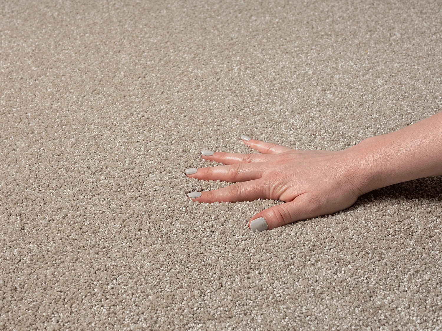 Tapis Grande salon moderne moelleux élégant, Beige, 160 x 230 cm