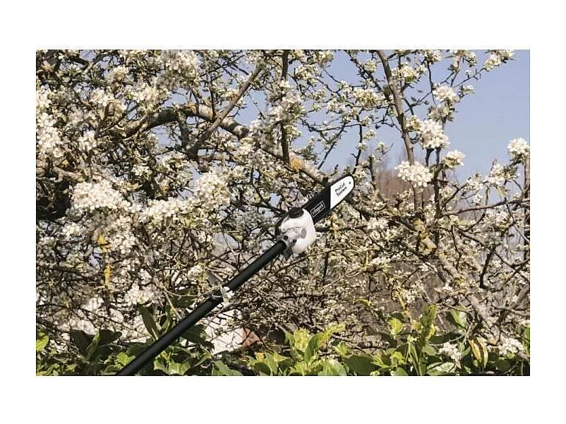 Débroussailleuse thermique 4 en 1 SCHEPPACH 52cc - Débroussailleuse, coupe-bordures, taille-haies et élagueuse télescopique