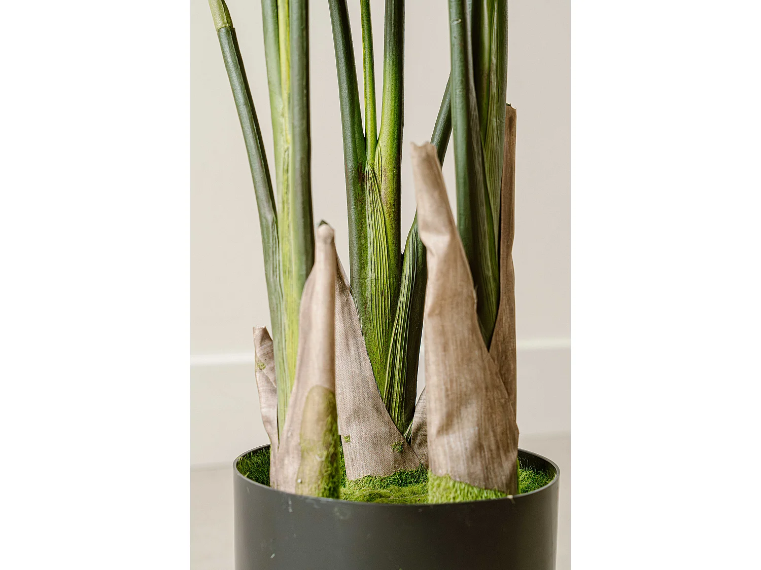 Künstliche Strelitzia 120 cm - Grün - Realistische Blätter ohne Pflegeaufwand - Indore Home